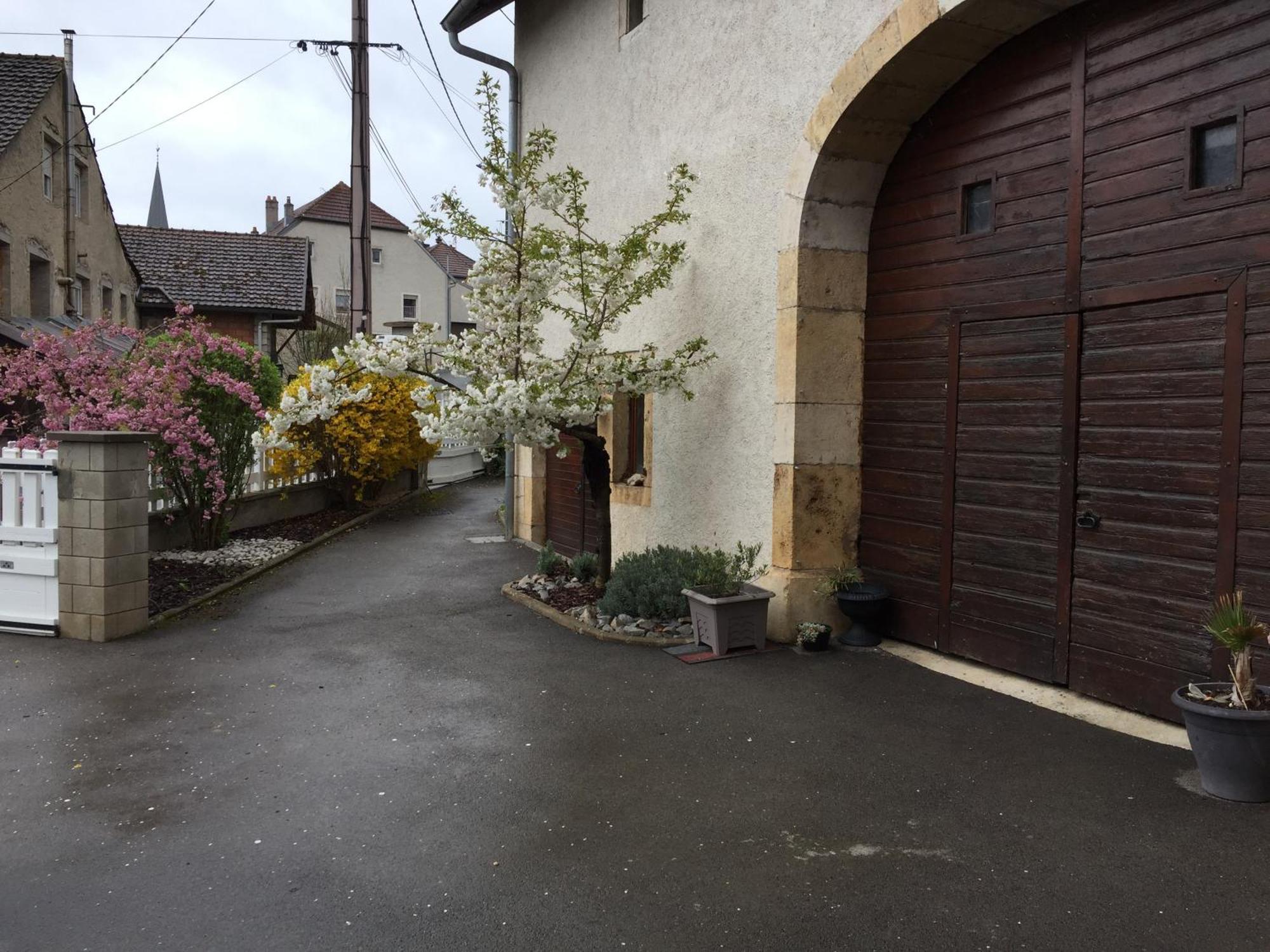 Appartement Ravissant En Bordure Du Doubs Longevelle-sur-Doubs Zewnętrze zdjęcie